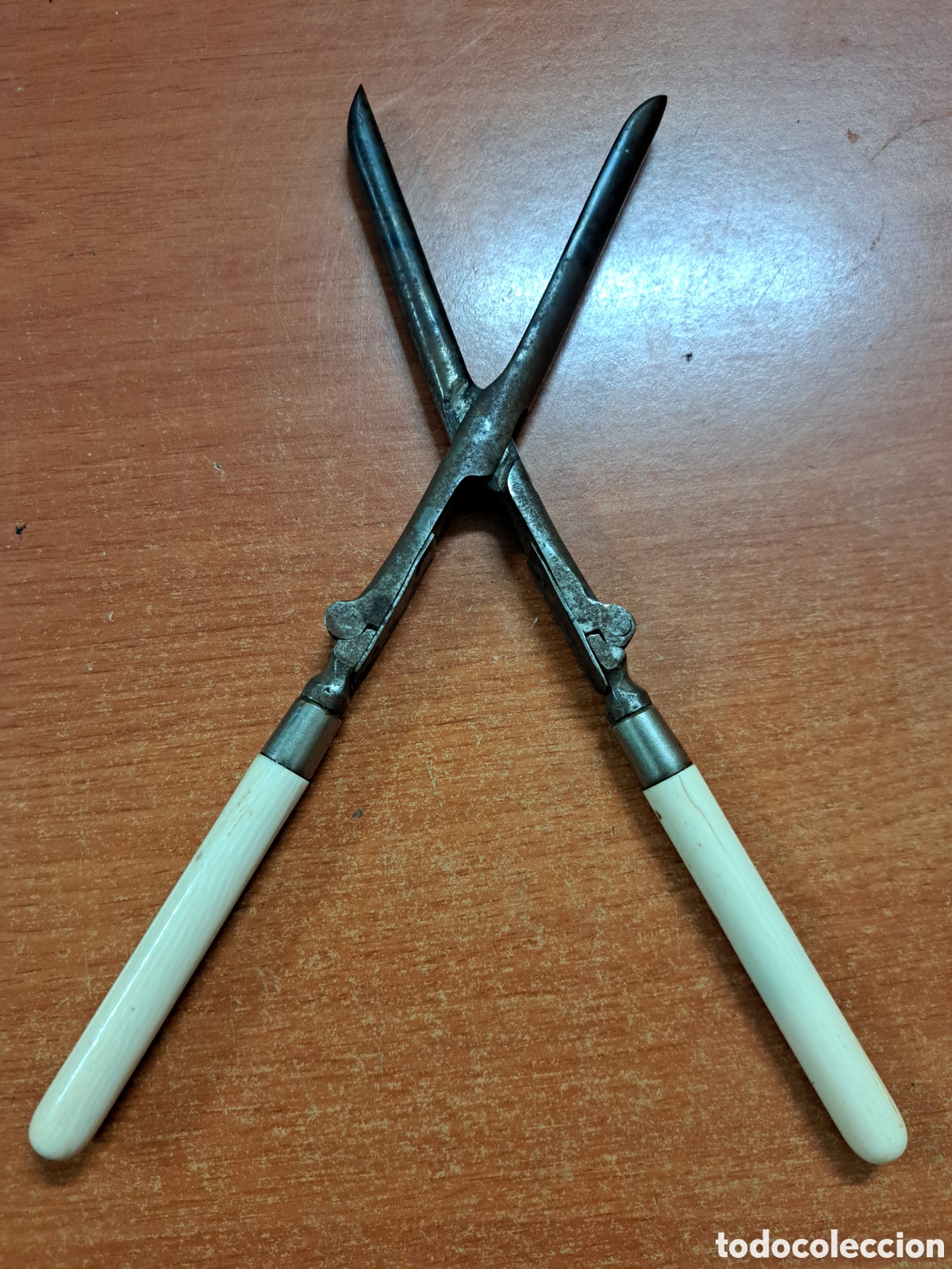 Antig&uuml;edades: Muy raro rizador de pelo con cachas de marfil original plegable de viaje siglo XIX
