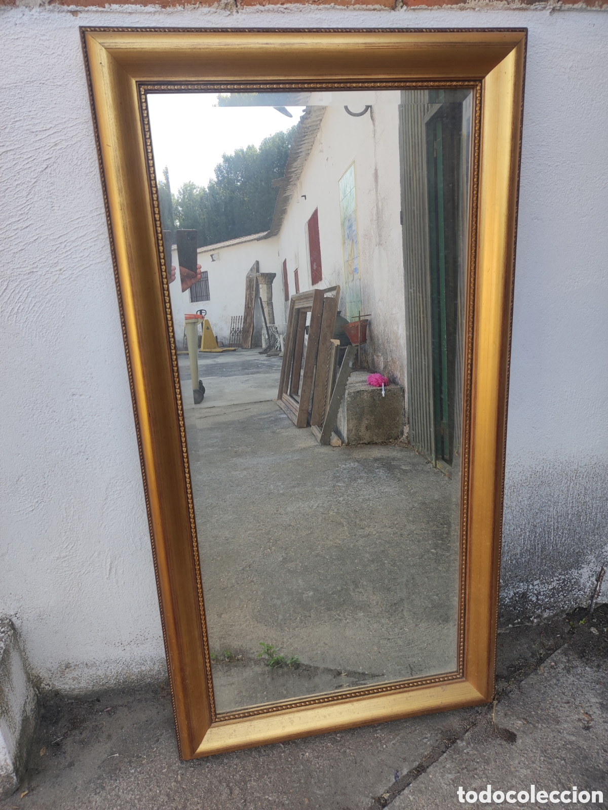 Antig&uuml;edades: Marco dorado de madera con Luna biselada - Foto 1