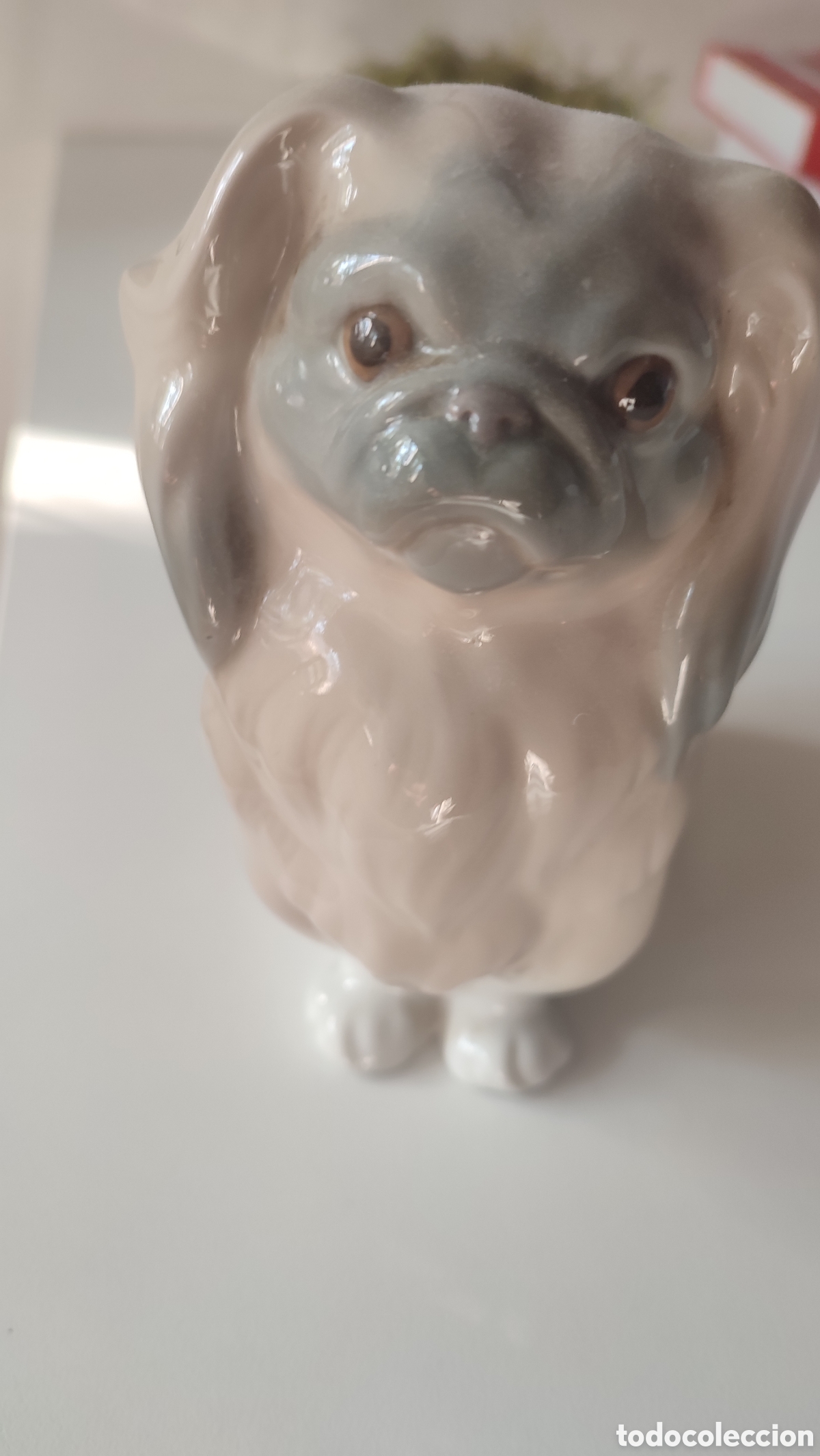 Antig&uuml;edades: Figura de Lladr&oacute; de perro Pequin&eacute;s - Foto 1