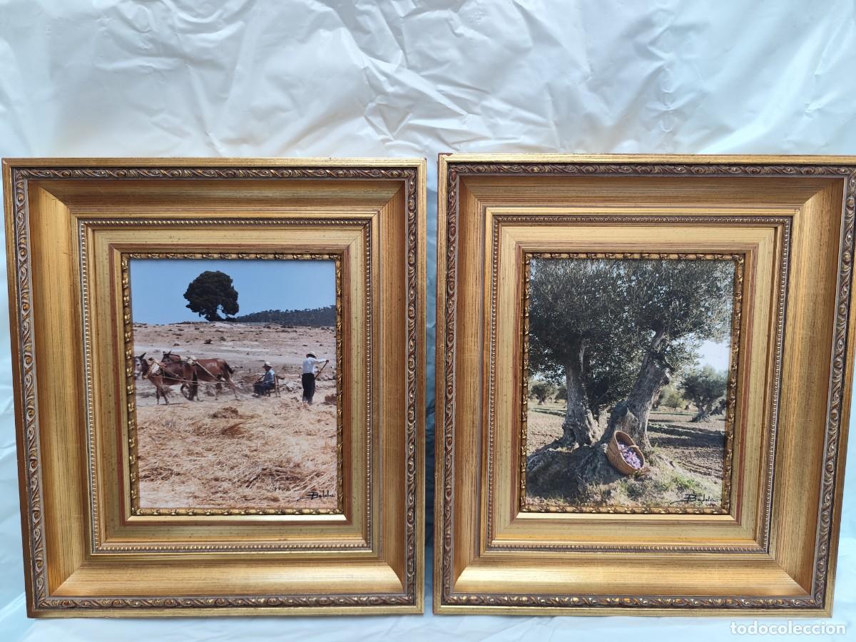 Antig&uuml;edades: &rdquo;Pareja de marcos dorados tallados antiguos con fotograf&iacute;a rural&rdquo; &mdash;