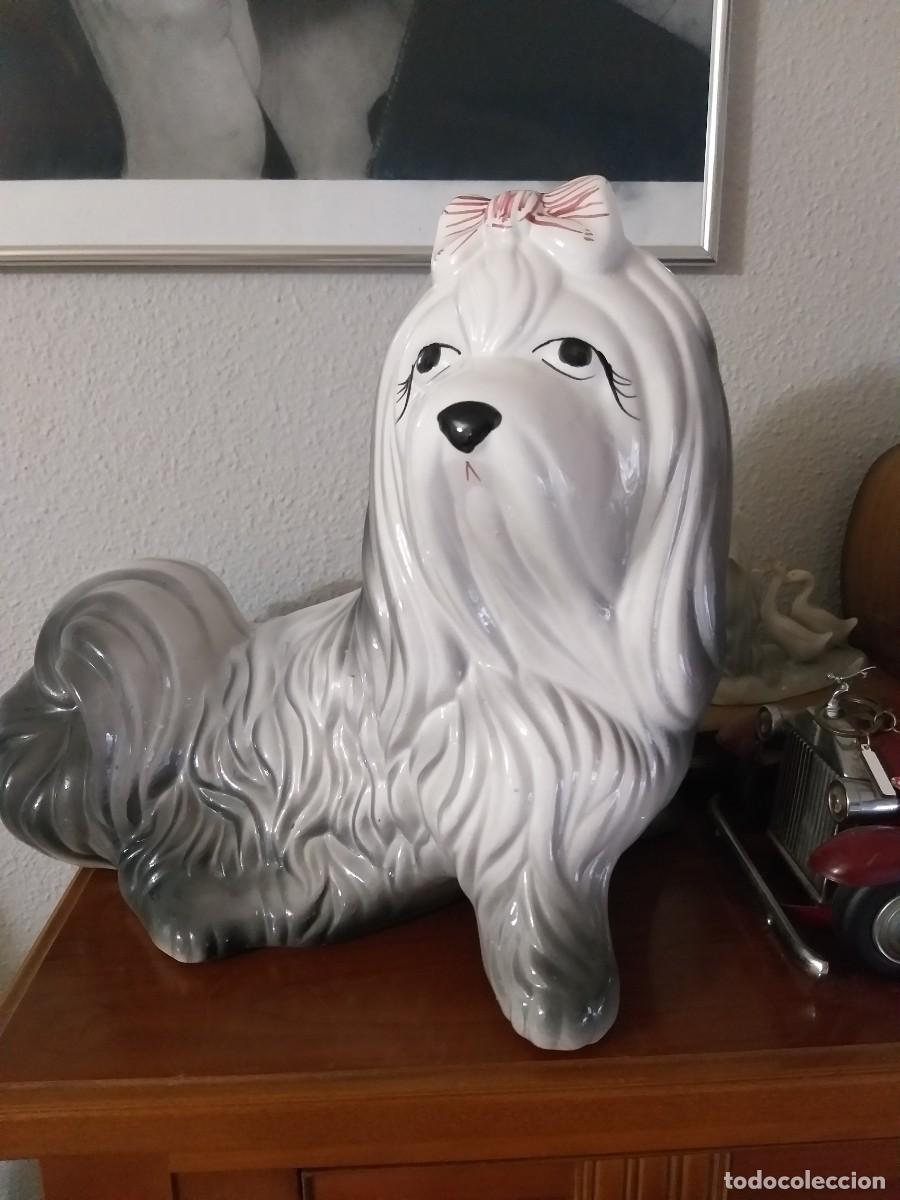 Antig&uuml;edades: Perro Bich&oacute;n Malt&eacute;s Cer&aacute;mica A&ntilde;os 70 tipo manises