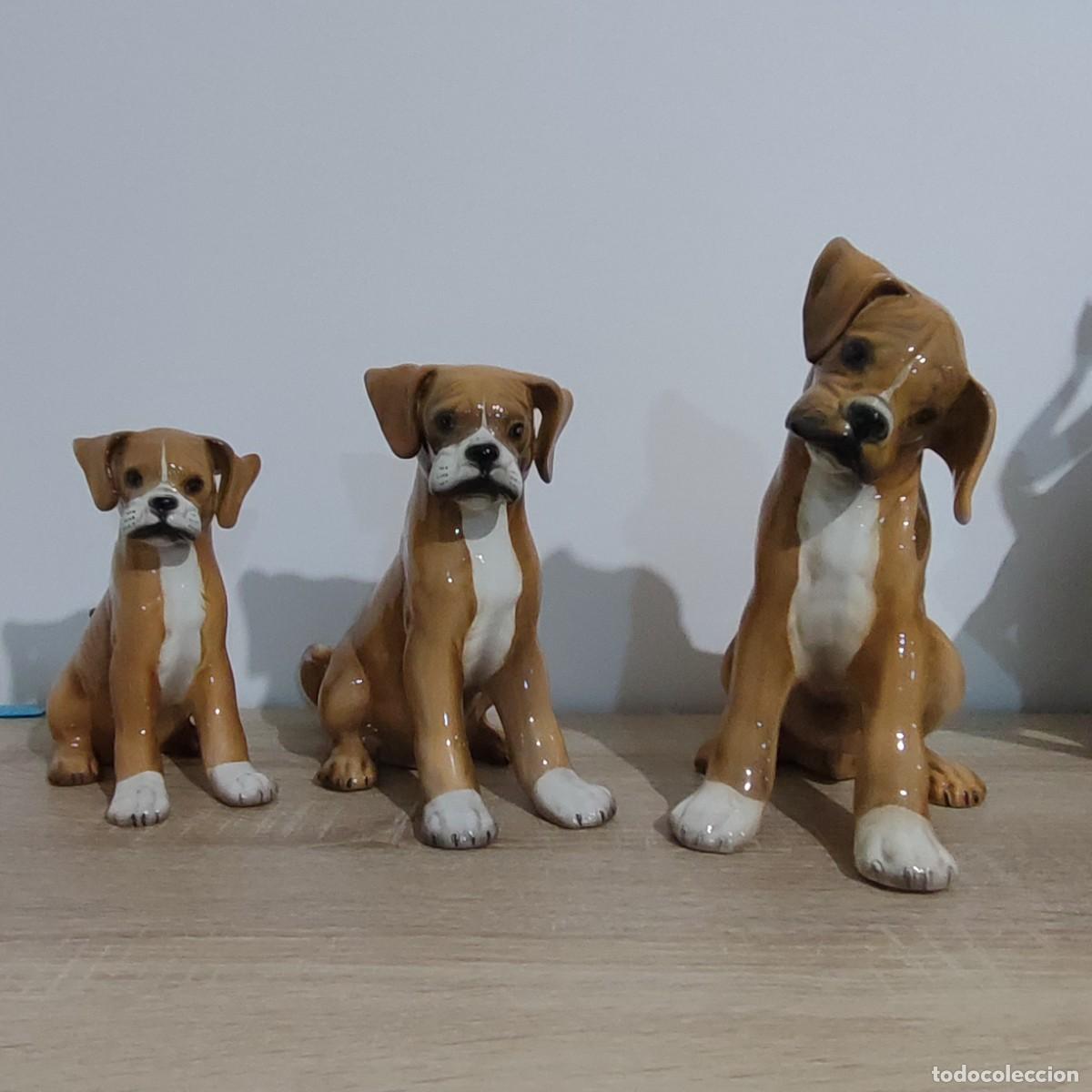 Antig&uuml;edades: Ronzan. Trio de perros boxer
