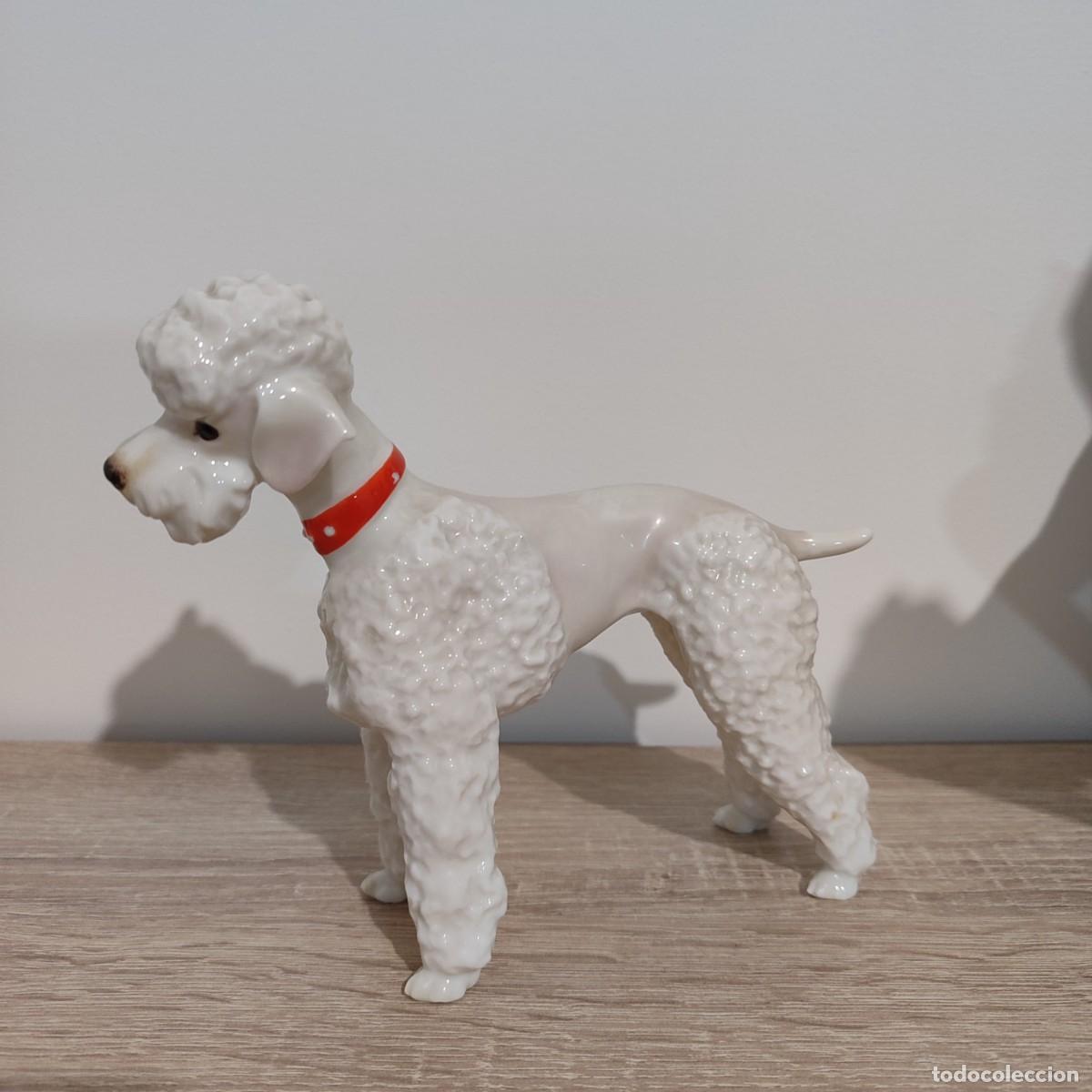 Antig&uuml;edades: Hutschenreuther perrita caniche correa roja