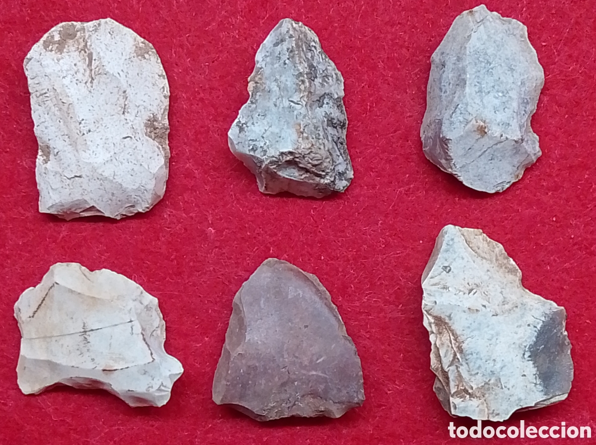 Antig&uuml;edades: Colecci&oacute;n fraccmentos herramientas neol&iacute;ticas de silex