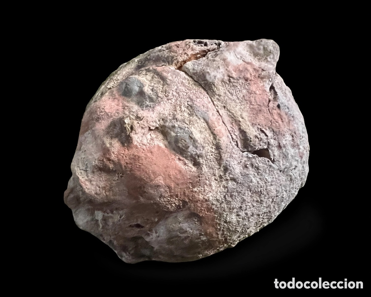 Antig&uuml;edades: Cabeza figura de terracota - Foto 5