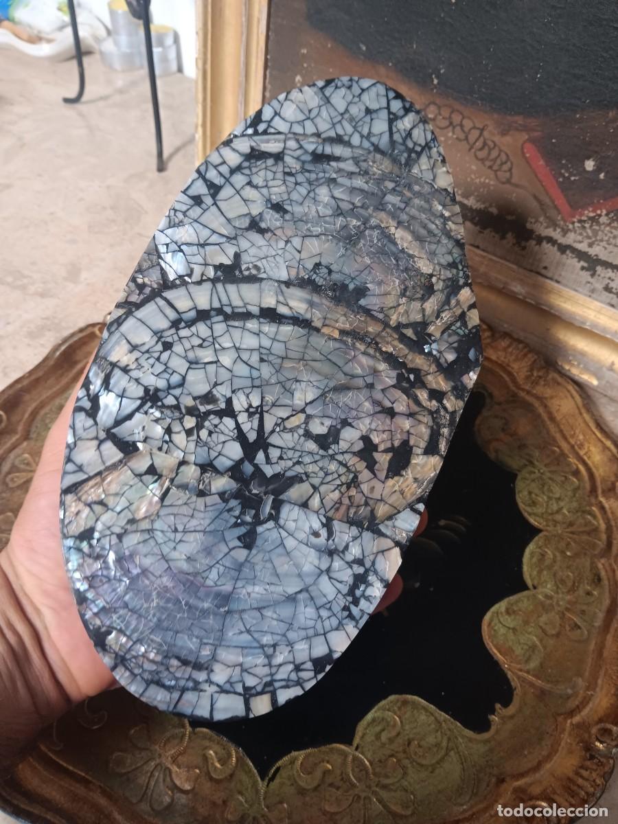 Antig&uuml;edades: joyero de concha natural est&aacute; forrado en su interior con terciopelo para proteger tus pertenencias.L