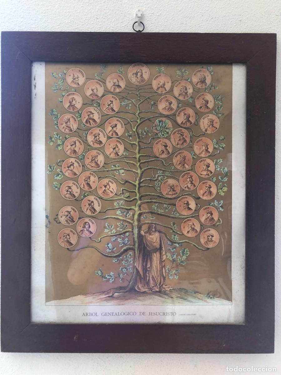 Antig&uuml;edades: ARBOL GENEAL&Oacute;GICO DE JESUCRISTO DESDE ABRAHAM, 65 X 56 (INCLUIDO MARCO)