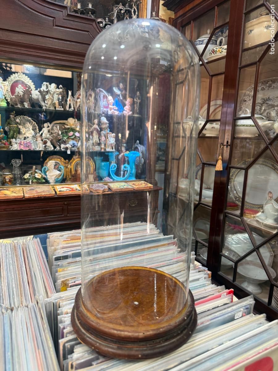 Antig&uuml;edades: ANTIGUO FANAL DE CRISTAL Y BASE DE MADERA - MEDIDA 44X18 CM - RELIGIOSO