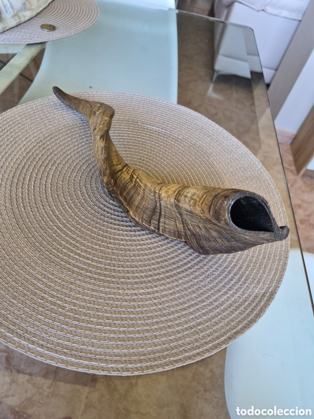 Antig&uuml;edades: Antiguo cuerno de carnero artesan&iacute;a o decoraci&oacute;n