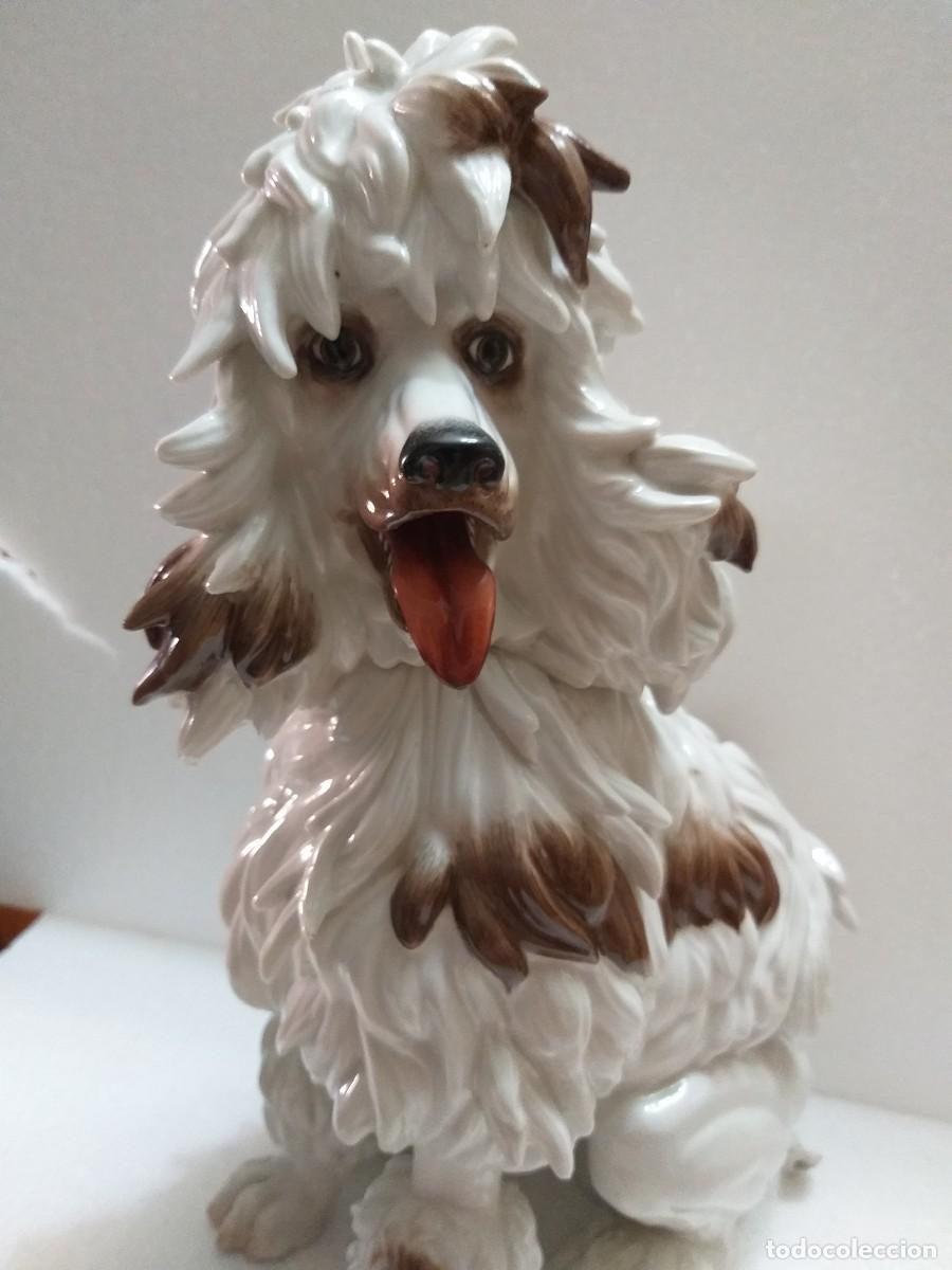 Antig&uuml;edades: perro caniche porcelana algora
