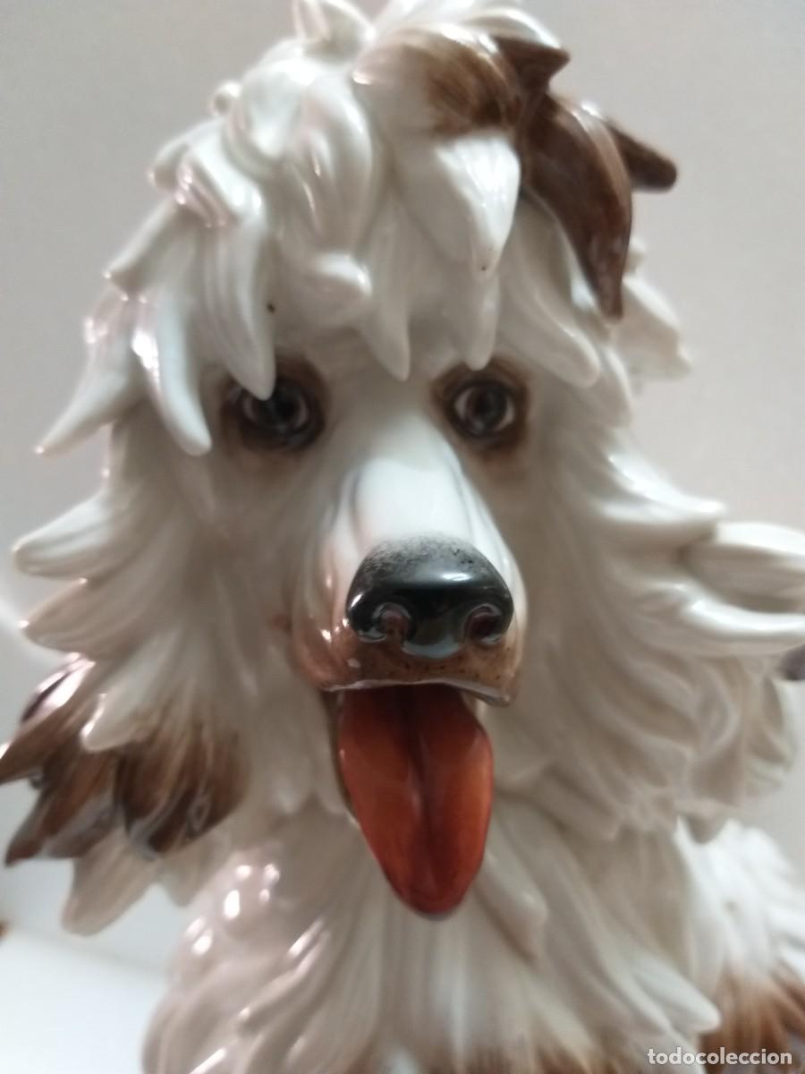 Antig&uuml;edades: perro caniche porcelana algora - Foto 2
