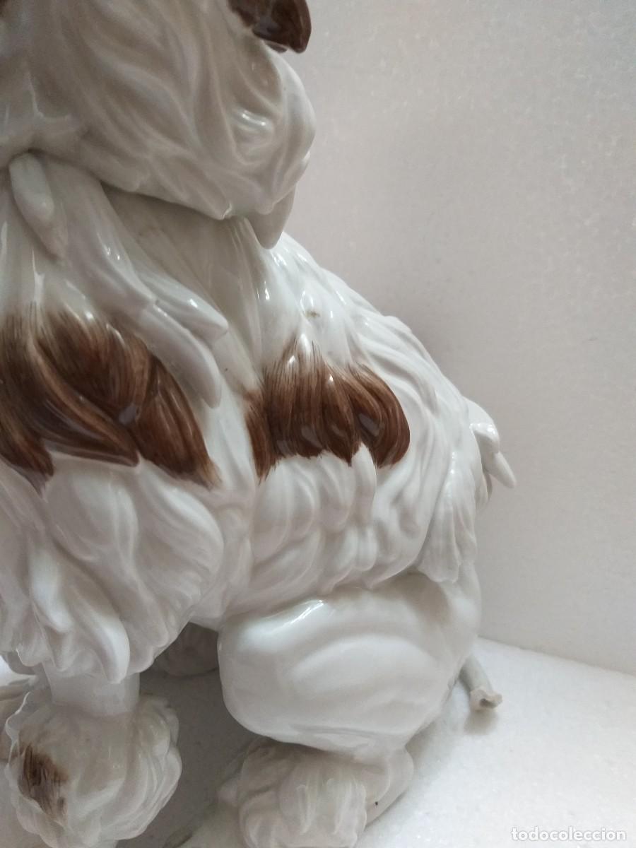 Antig&uuml;edades: perro caniche porcelana algora - Foto 3