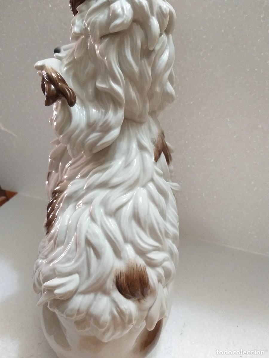 Antig&uuml;edades: perro caniche porcelana algora - Foto 5