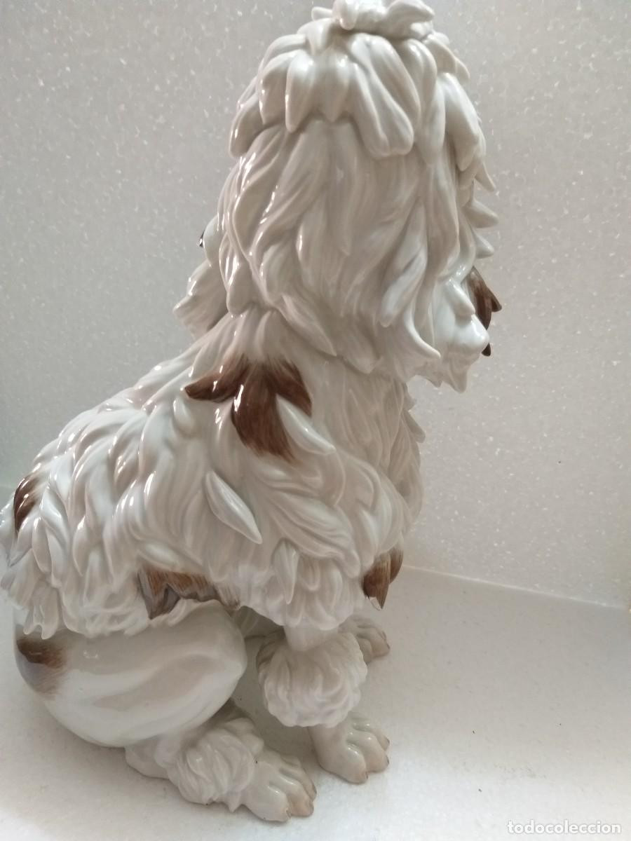 Antig&uuml;edades: perro caniche porcelana algora - Foto 6