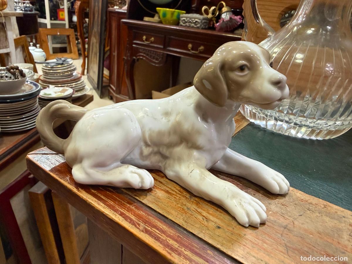 Antig&uuml;edades: PRECIOSO PERRO PORCELANA LLADRO - MEDIDA 18 CM