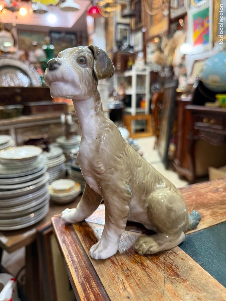 Antig&uuml;edades: PRECIOSO PERRO PORCELANA LLADRO - MEDIDA 19X16 CM