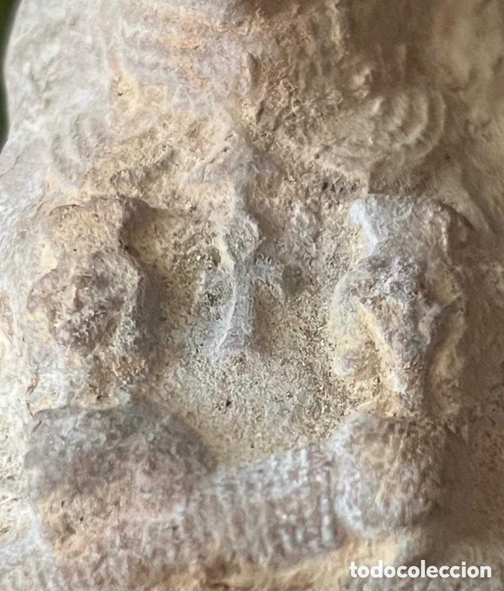 Antig&uuml;edades: Busto de Fara&oacute;n statuette egyptiene - Foto 5