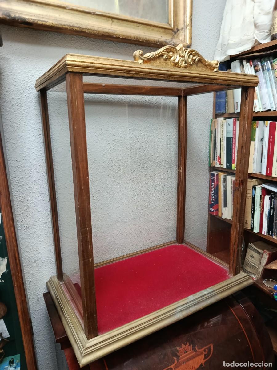 Antig&uuml;edades: Fanal vitrina de madera y cristal antiguo