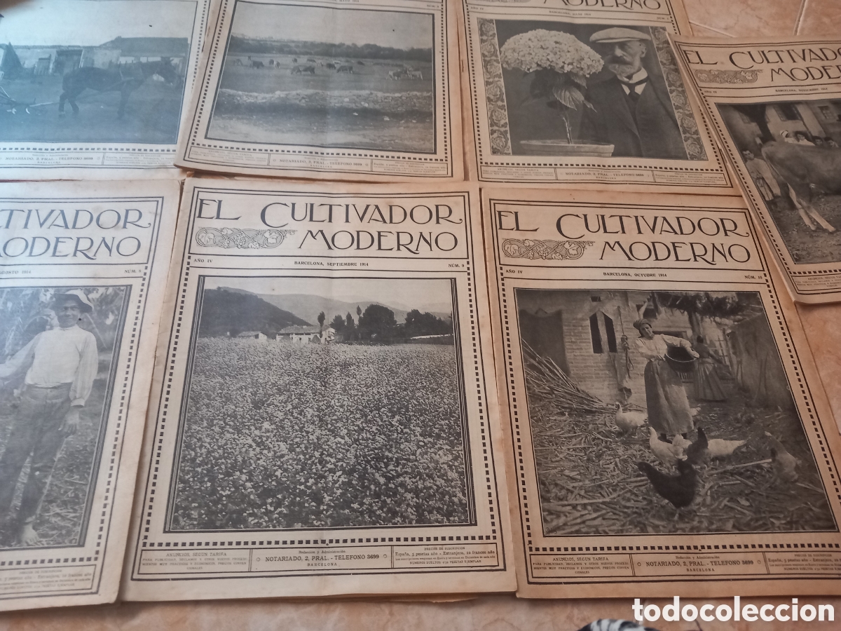 Antig&uuml;edades: Revistas antiguas El Cultivador Moderno del a&ntilde;o 1914