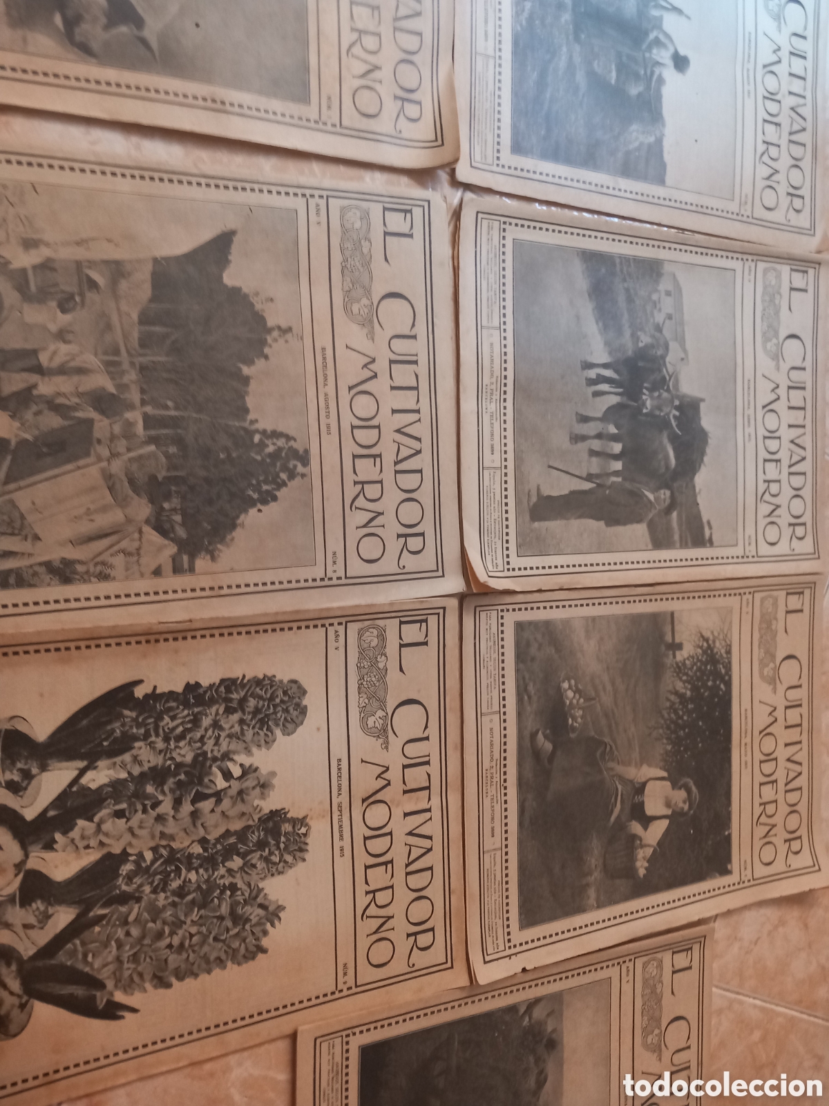 Antig&uuml;edades: Revistas antiguas del Cultivador Moderno del a&ntilde;o 1915