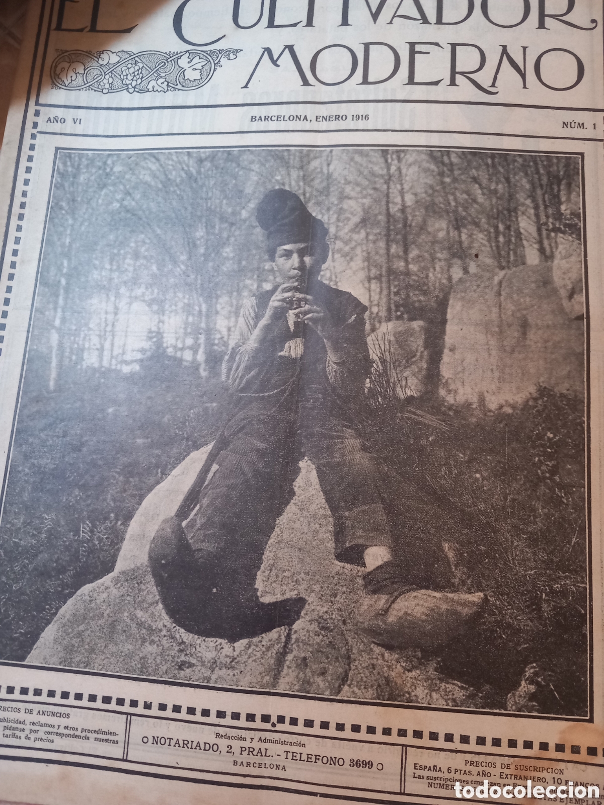 Antig&uuml;edades: Revistas antiguas del Cultivador Moderno del a&ntilde;o 1916