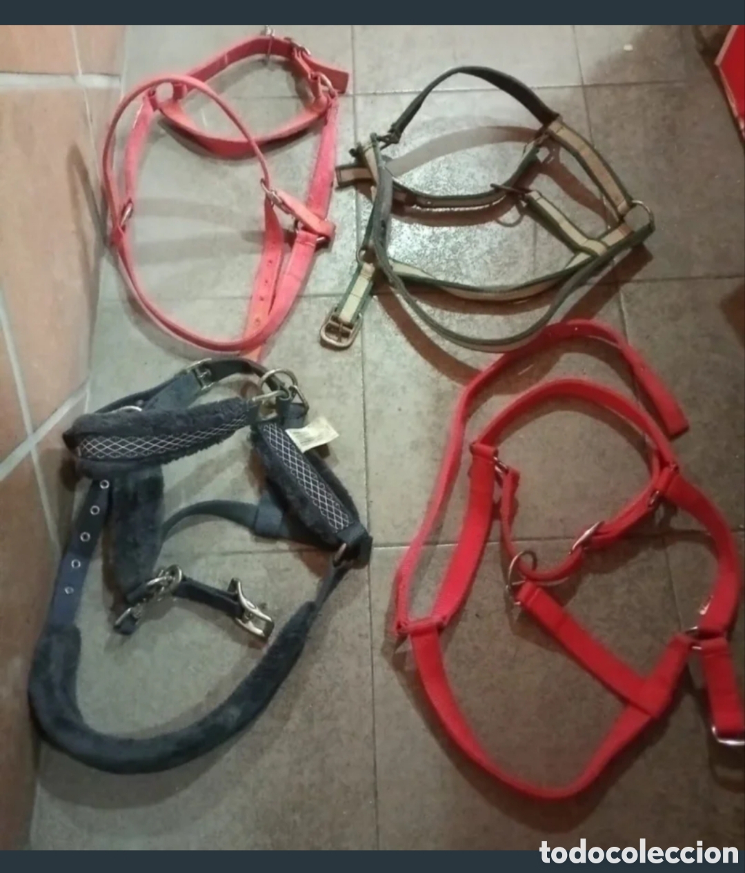 Antig&uuml;edades: Cabezadas para caballos (varios colores)