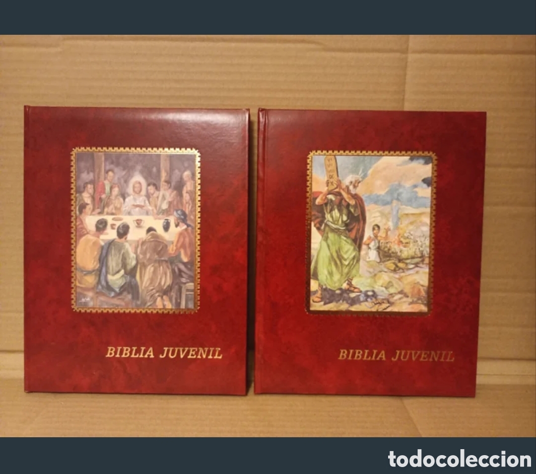 Antig&uuml;edades: Biblia Juvenil - Dos Tomos