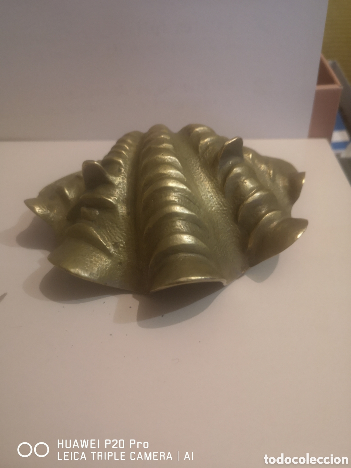 Antig&uuml;edades: CONCHA CARACOLA MARINA BRONCE