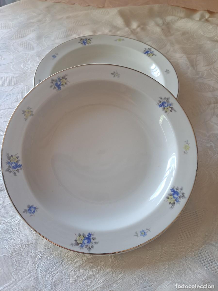 Antig&uuml;edades: Lote de 2 platos hondos de porcelana Langenthal Suisse, floren en azul