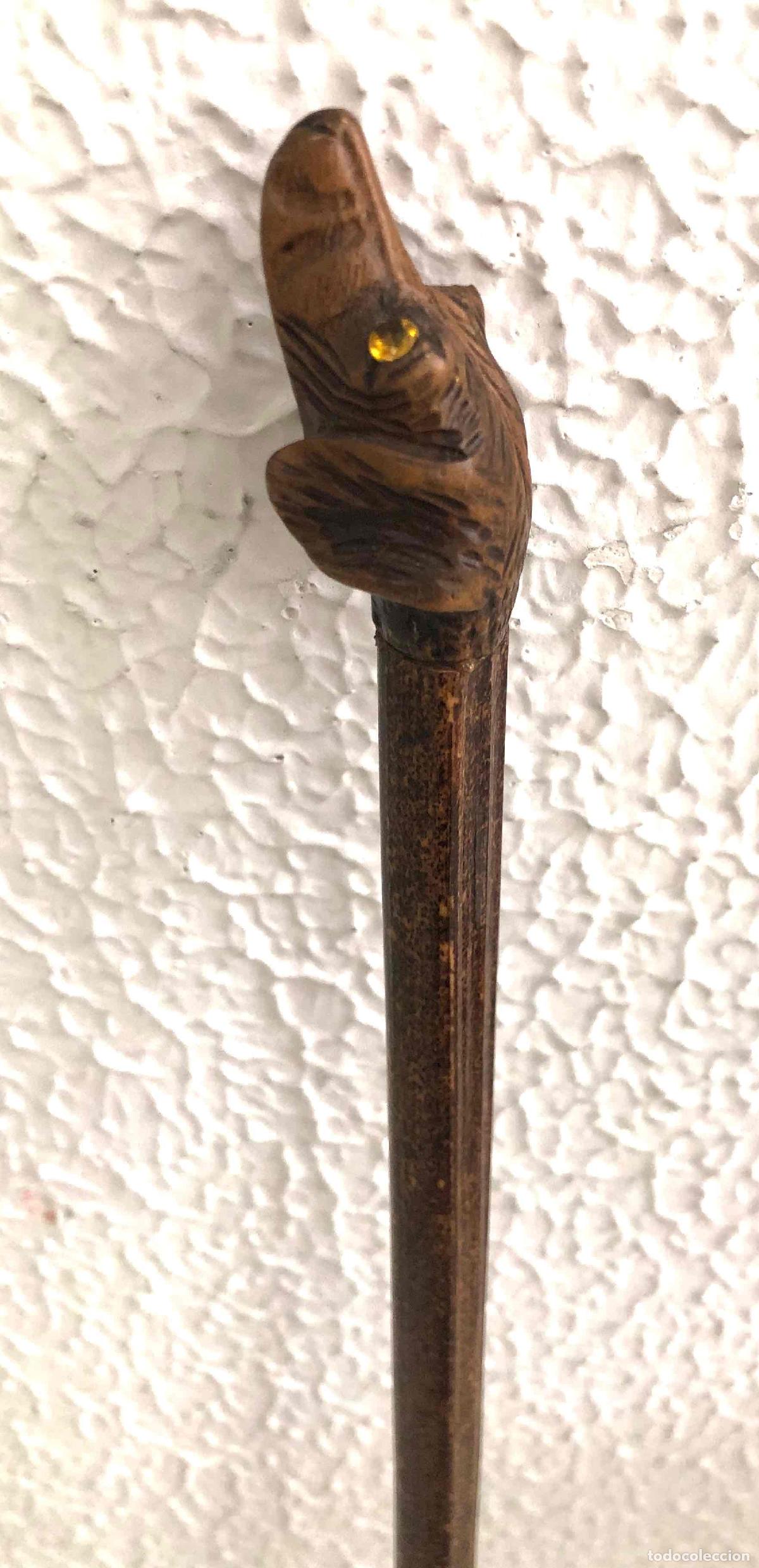 Antig&uuml;edades: ANTIGUO BASTON MADERA CA&Ntilde;A FINA CON CABEZA DE PERRO