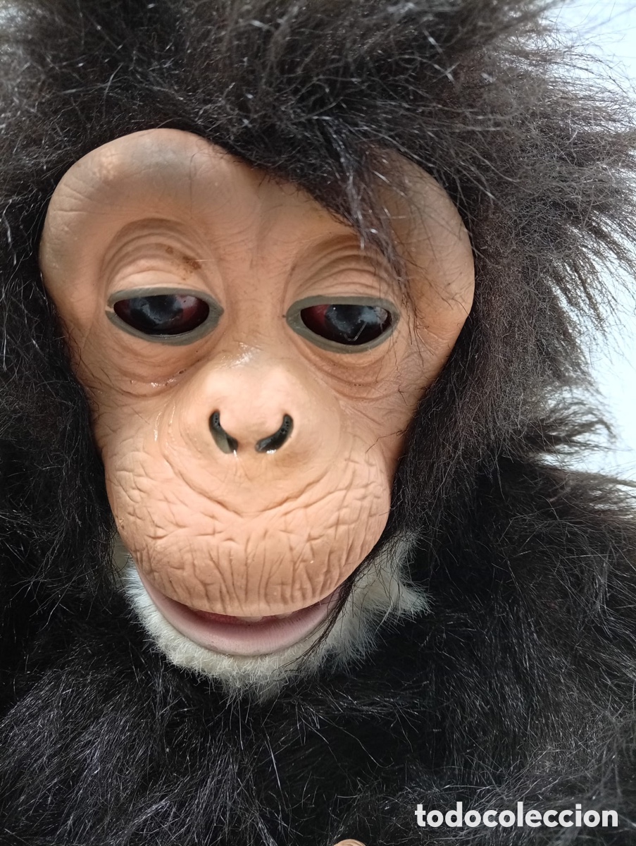 Antig&uuml;edades: .MU&Ntilde;ECO CHIMPANC&Eacute; ASBROFUNCIONA - Foto 2