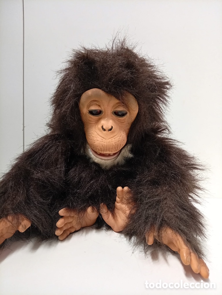 Antig&uuml;edades: .MU&Ntilde;ECO CHIMPANC&Eacute; ASBROFUNCIONA