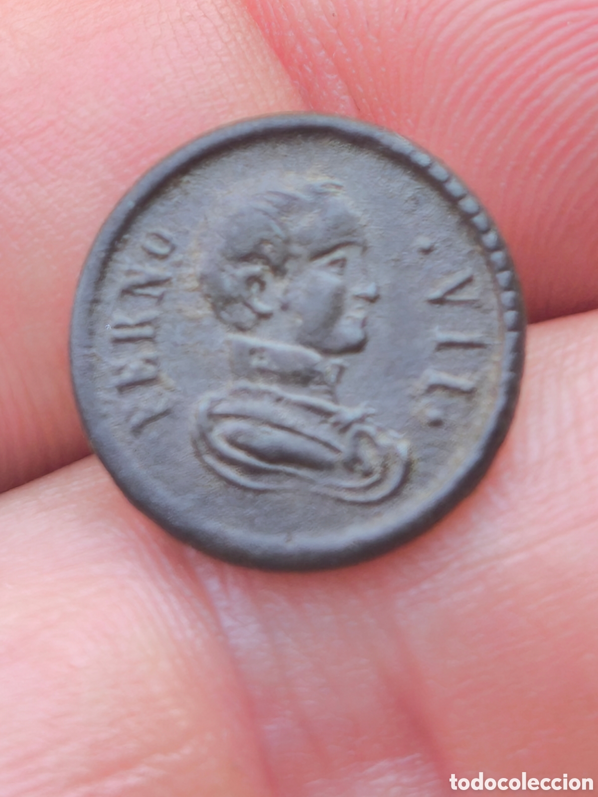 Antig&uuml;edades: Bot&oacute;n raro Fernando VII