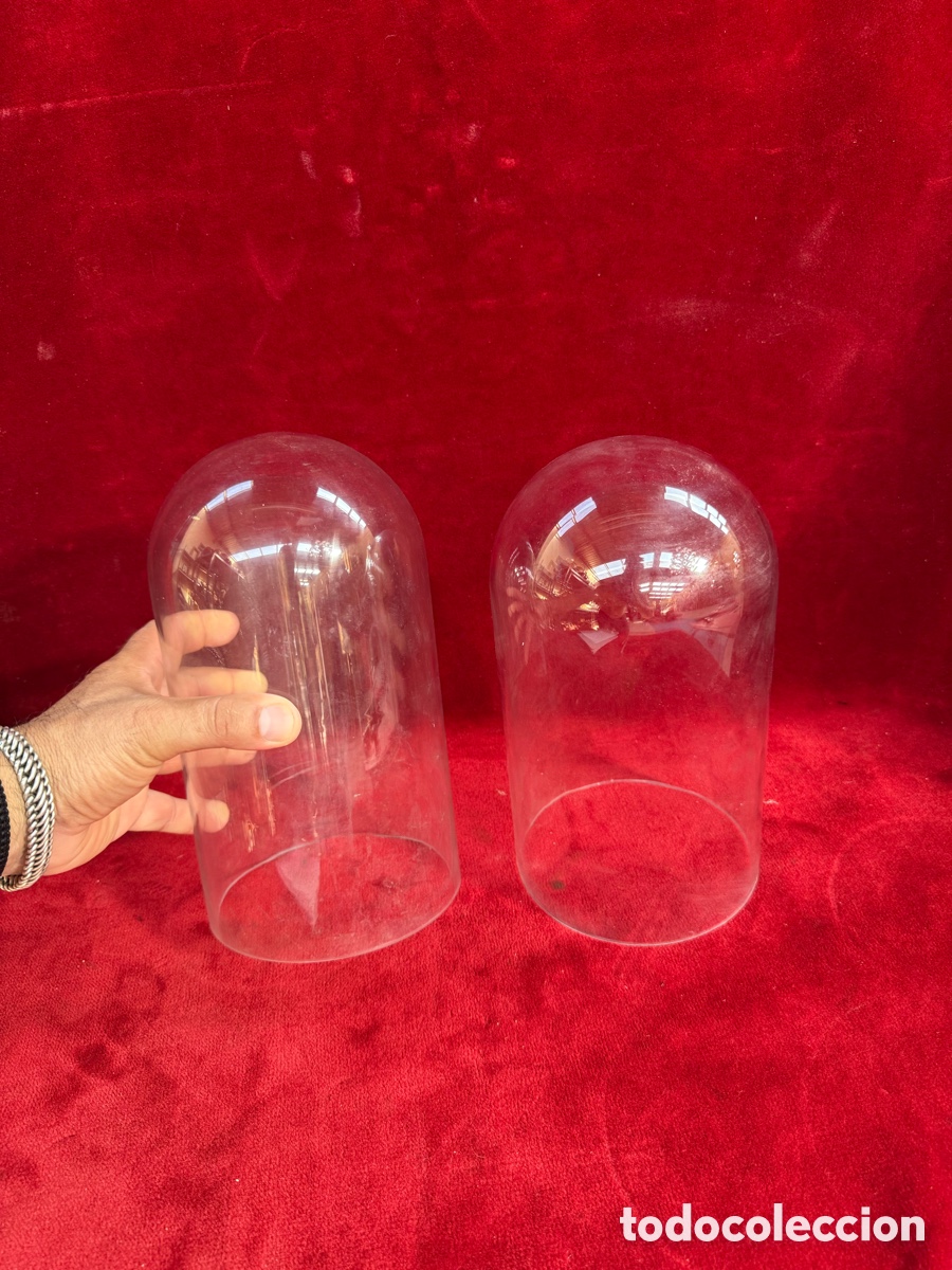 Antig&uuml;edades: Lote de dos fanales-urnas de cristal!