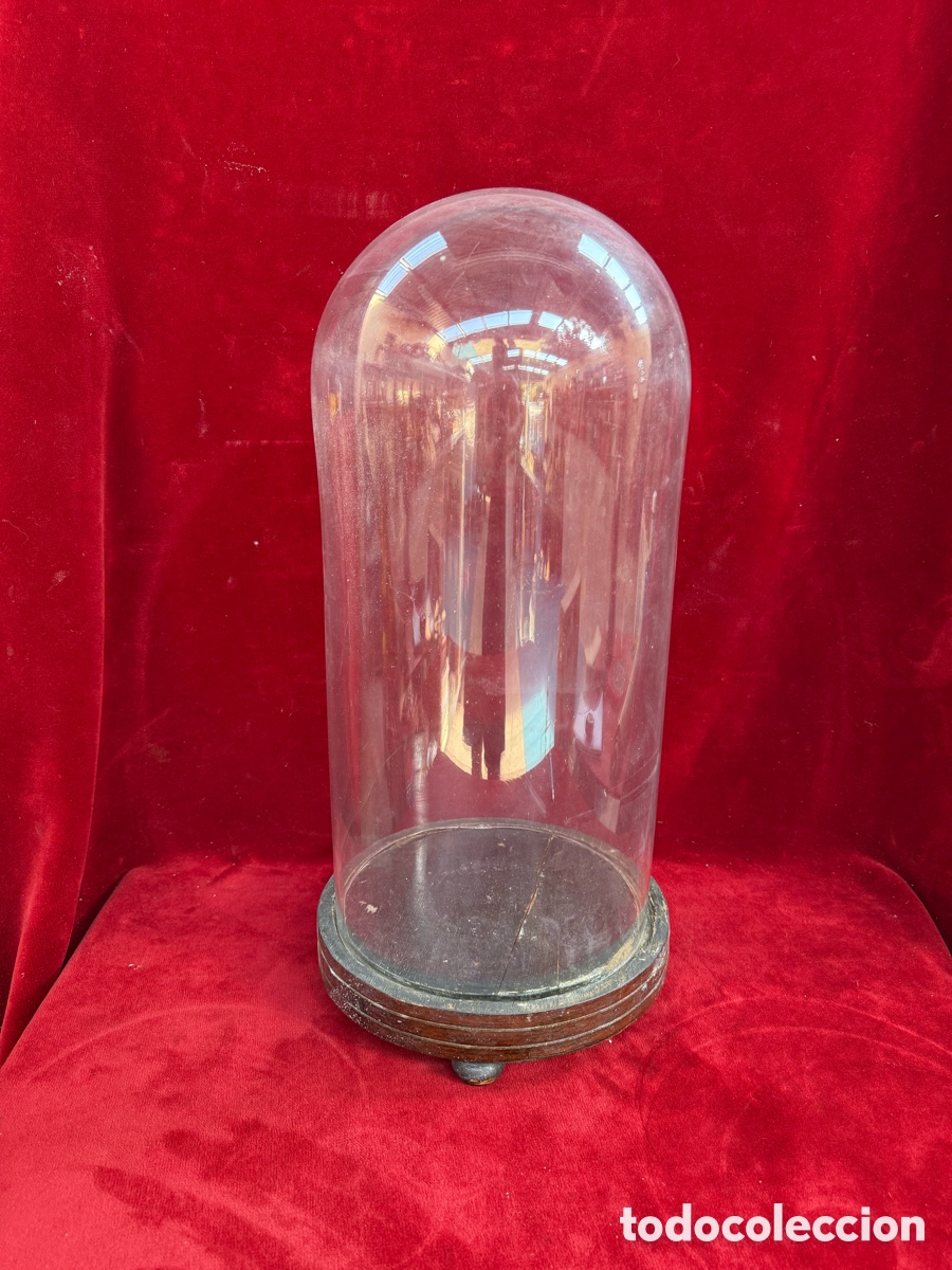 Antig&uuml;edades: Antiguo y gran fanal,cupula cristal soplado,sig XIX