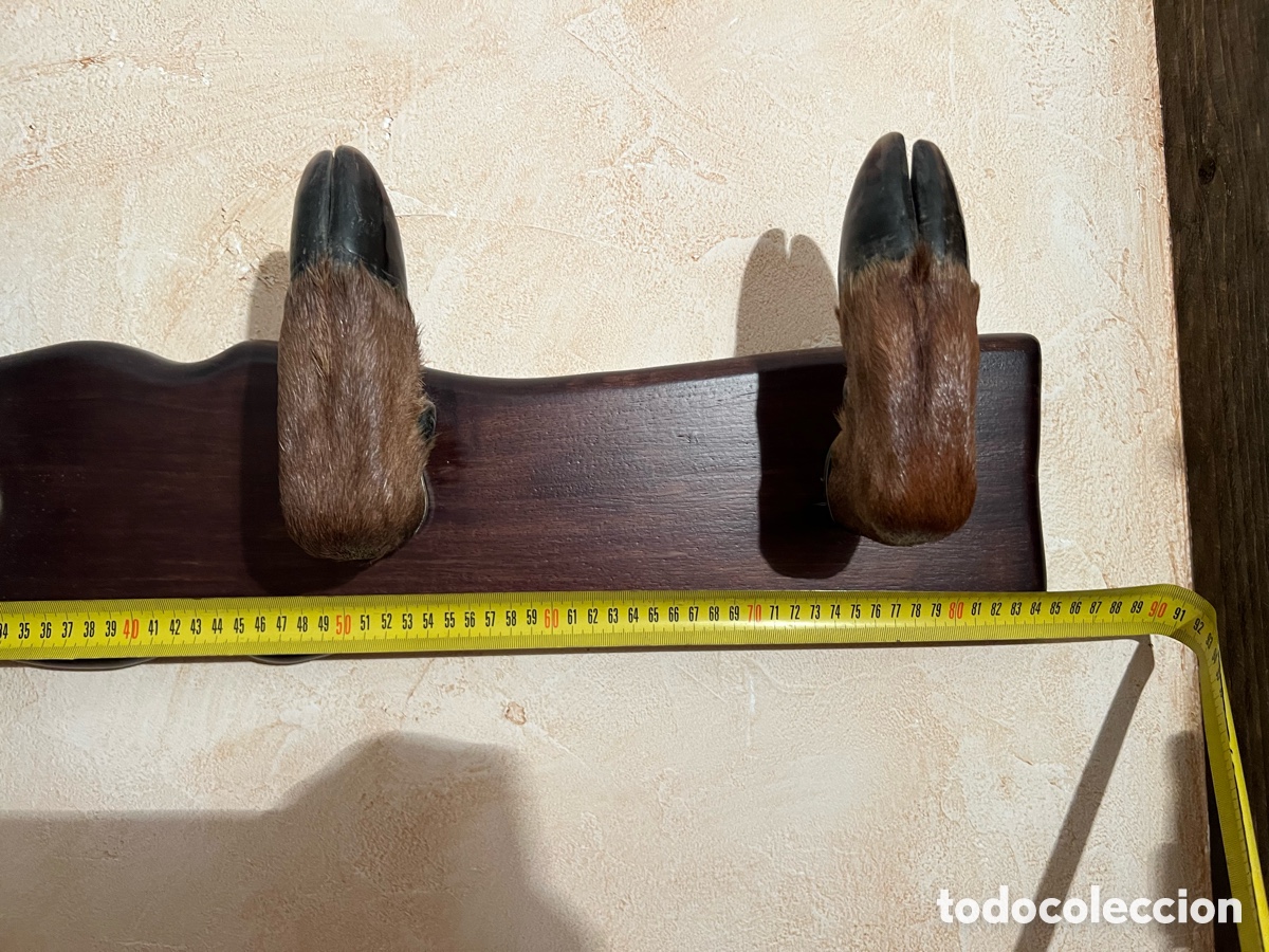 Antig&uuml;edades: perchero 4 pezu&ntilde;as ciervo de madera - Foto 3