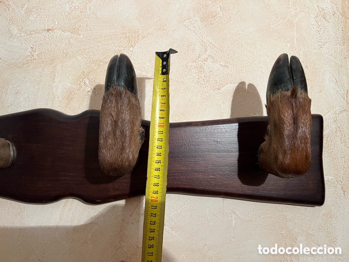 Antig&uuml;edades: perchero 4 pezu&ntilde;as ciervo de madera - Foto 4