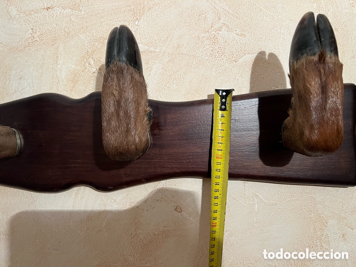 Antig&uuml;edades: perchero 4 pezu&ntilde;as ciervo de madera - Foto 5