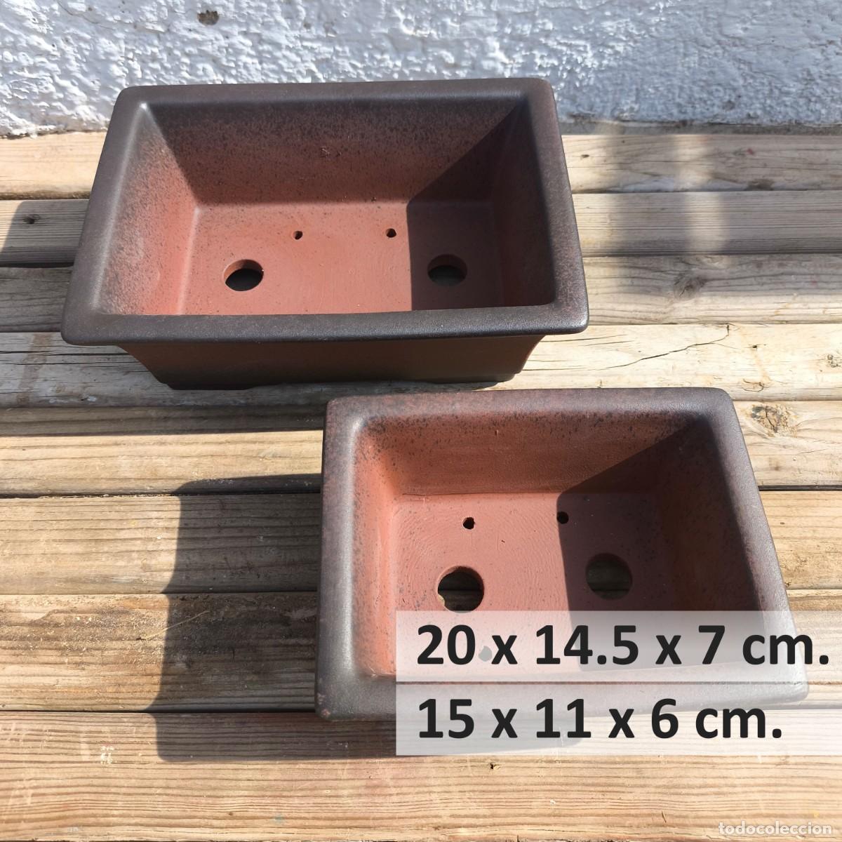 Antig&uuml;edades: Lote 2 Macetas Bons&aacute;i Yixing Terracota