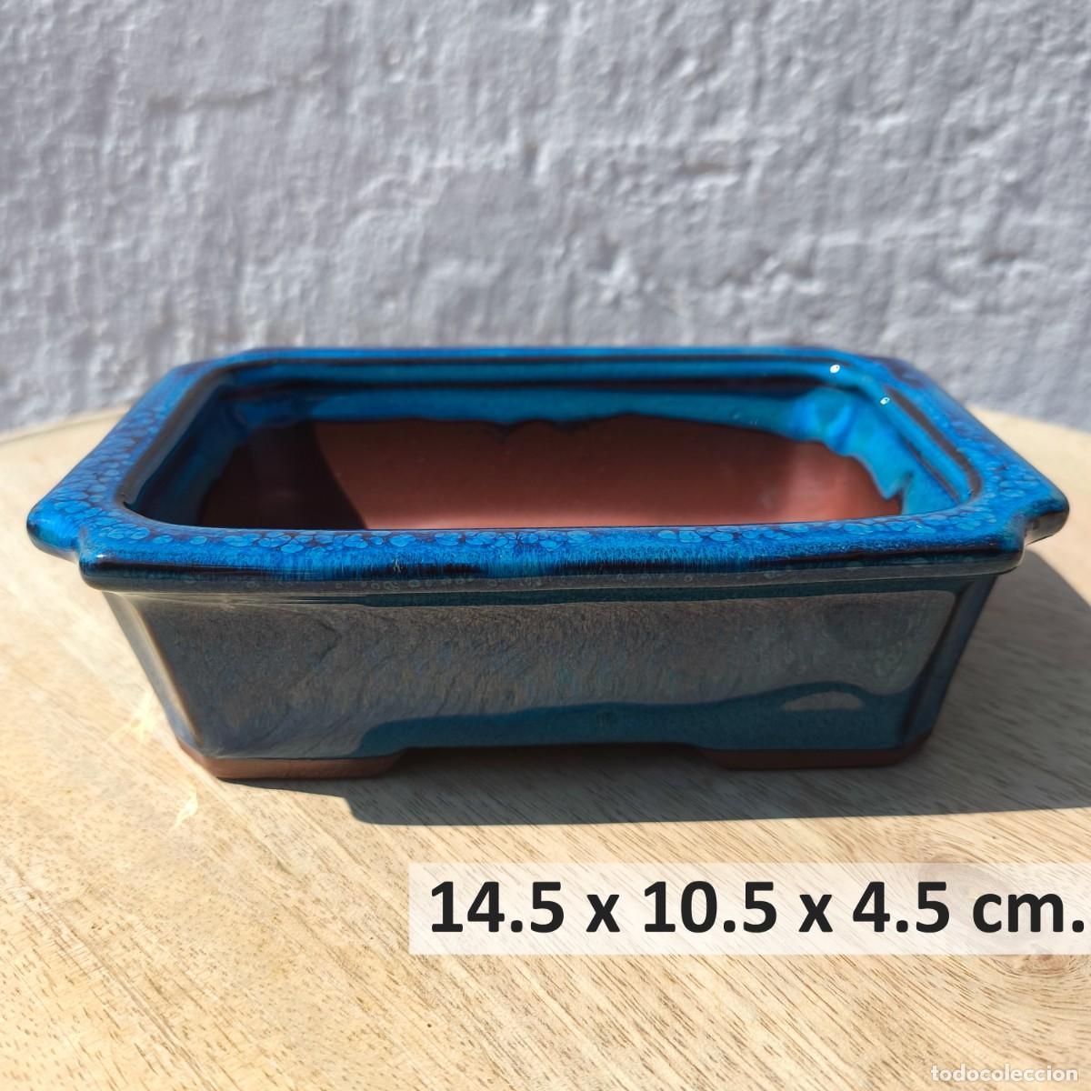Antig&uuml;edades: Maceta Bonsai Cer&aacute;mica Azul Rectangular