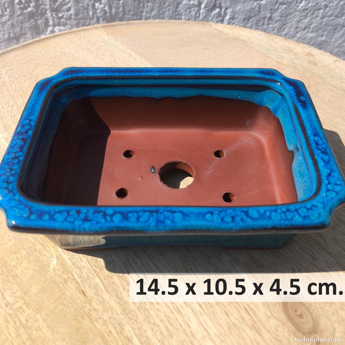Antig&uuml;edades: Maceta Bonsai Cer&aacute;mica Azul Rectangular - Foto 2
