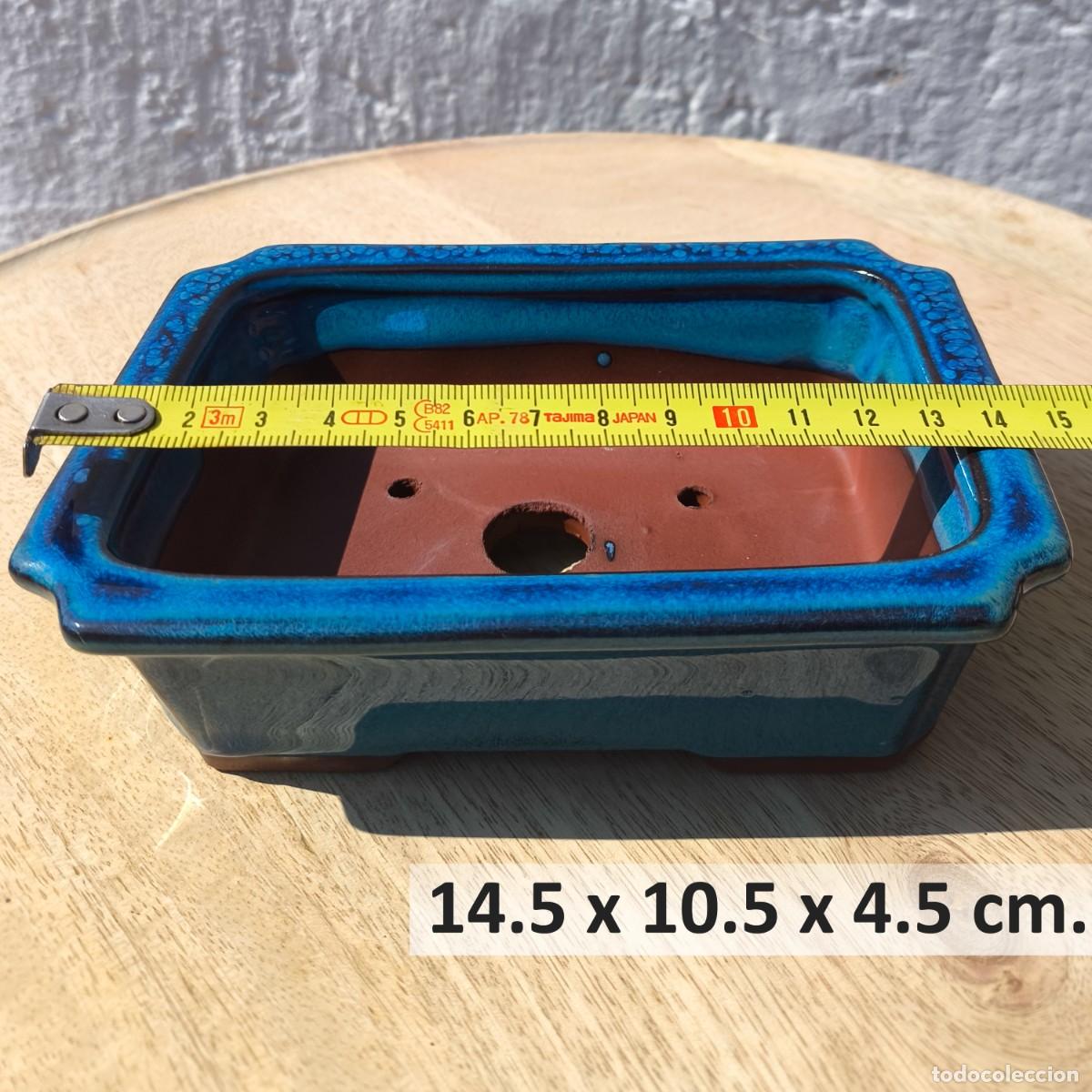 Antig&uuml;edades: Maceta Bonsai Cer&aacute;mica Azul Rectangular - Foto 4