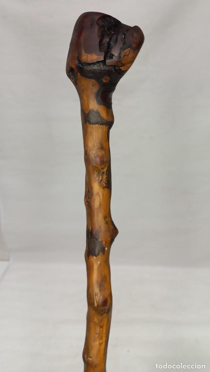Antig&uuml;edades: ANTIGUO BASTON - CACHIPORRA RUSTICO DE MADERA DE BOJ