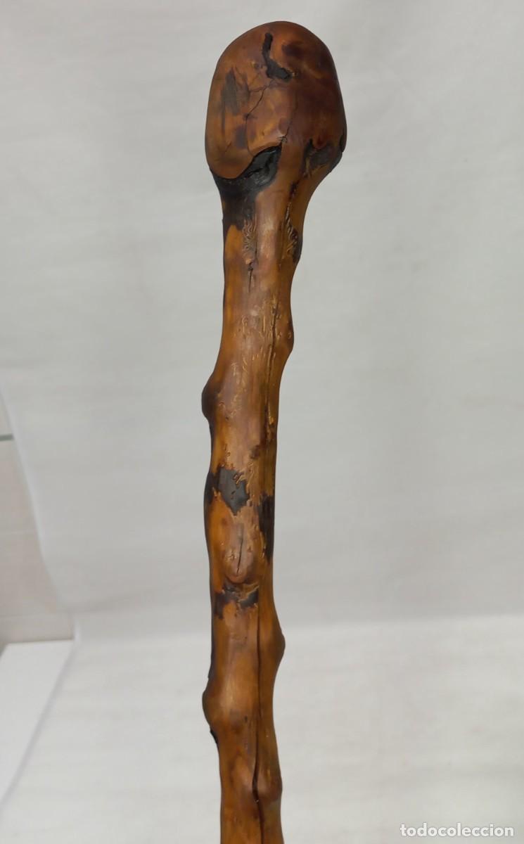 Antig&uuml;edades: ANTIGUO BASTON - CACHIPORRA RUSTICO DE MADERA DE BOJ - Foto 3