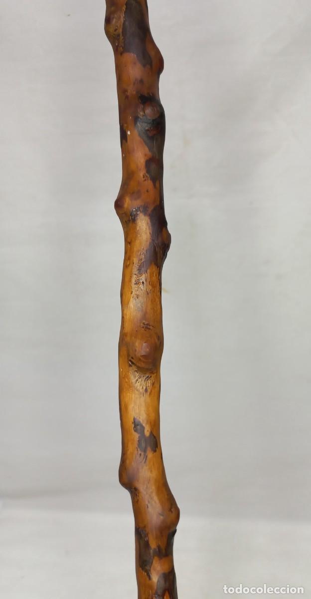 Antig&uuml;edades: ANTIGUO BASTON - CACHIPORRA RUSTICO DE MADERA DE BOJ - Foto 4