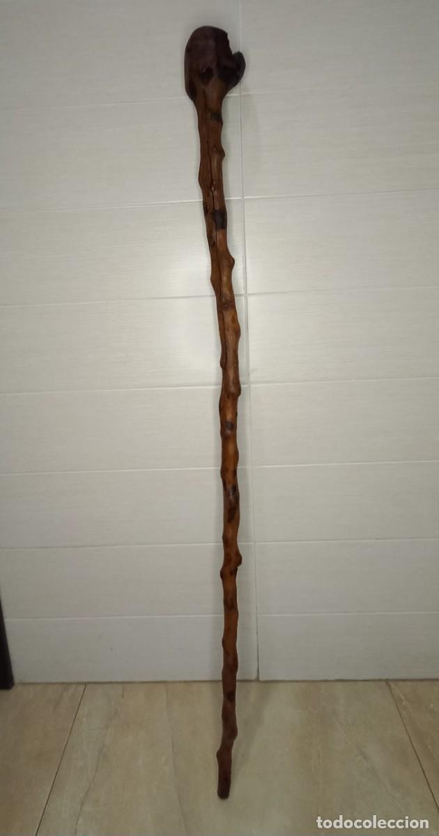 Antig&uuml;edades: ANTIGUO BASTON - CACHIPORRA RUSTICO DE MADERA DE BOJ - Foto 6