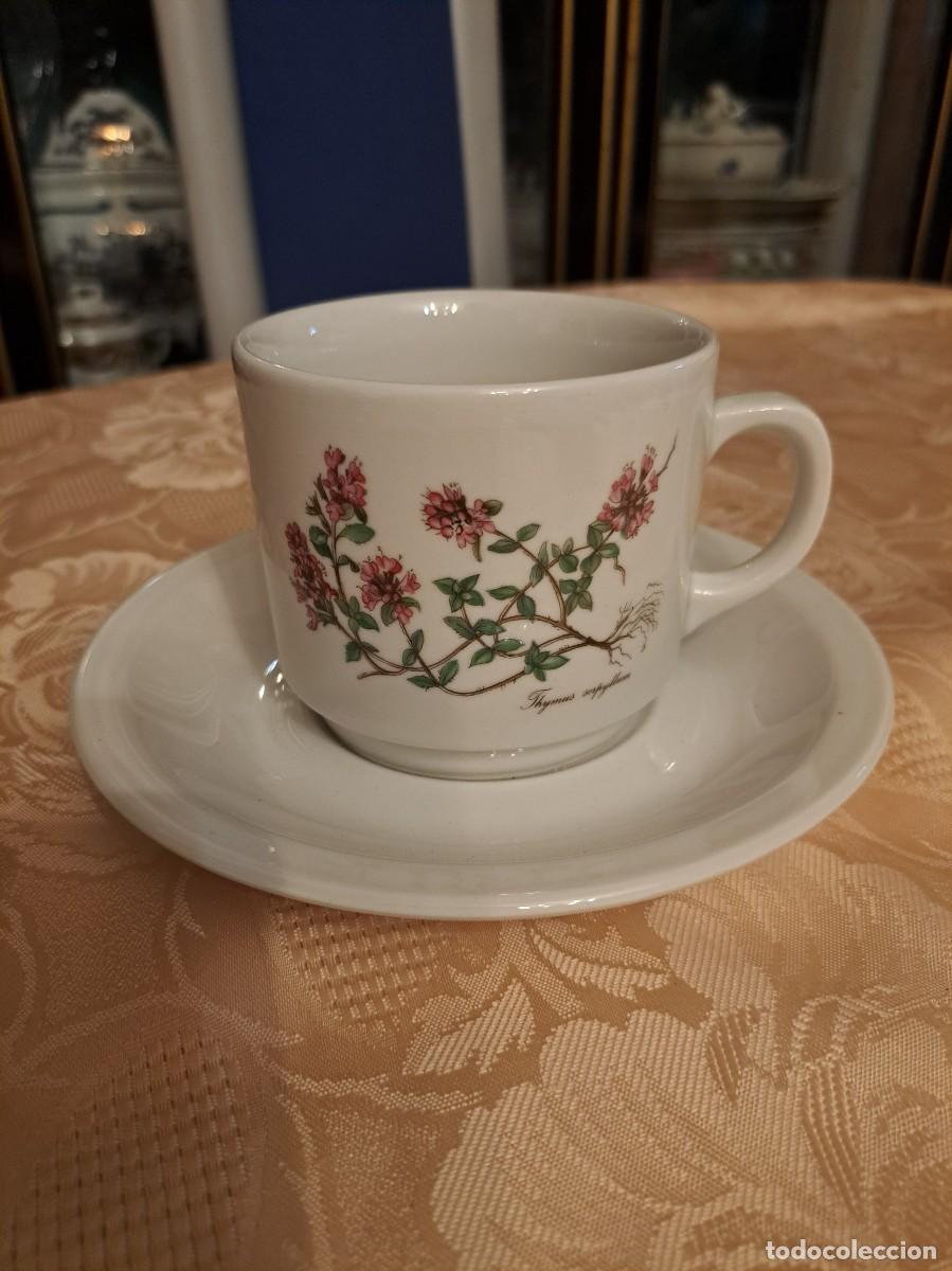 Antig&uuml;edades: Servicio de desayuno de porcelana Seltmann Weiden Bavaria w.Germany,Thymus serpyllum tomillo silvest