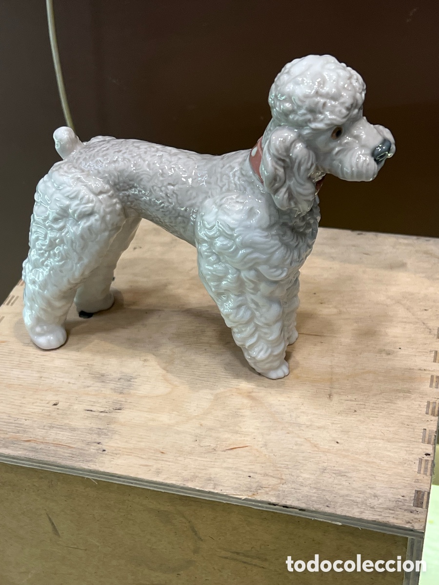 Antig&uuml;edades: Figura lladr&oacute; Caniche Porcelana Blanca