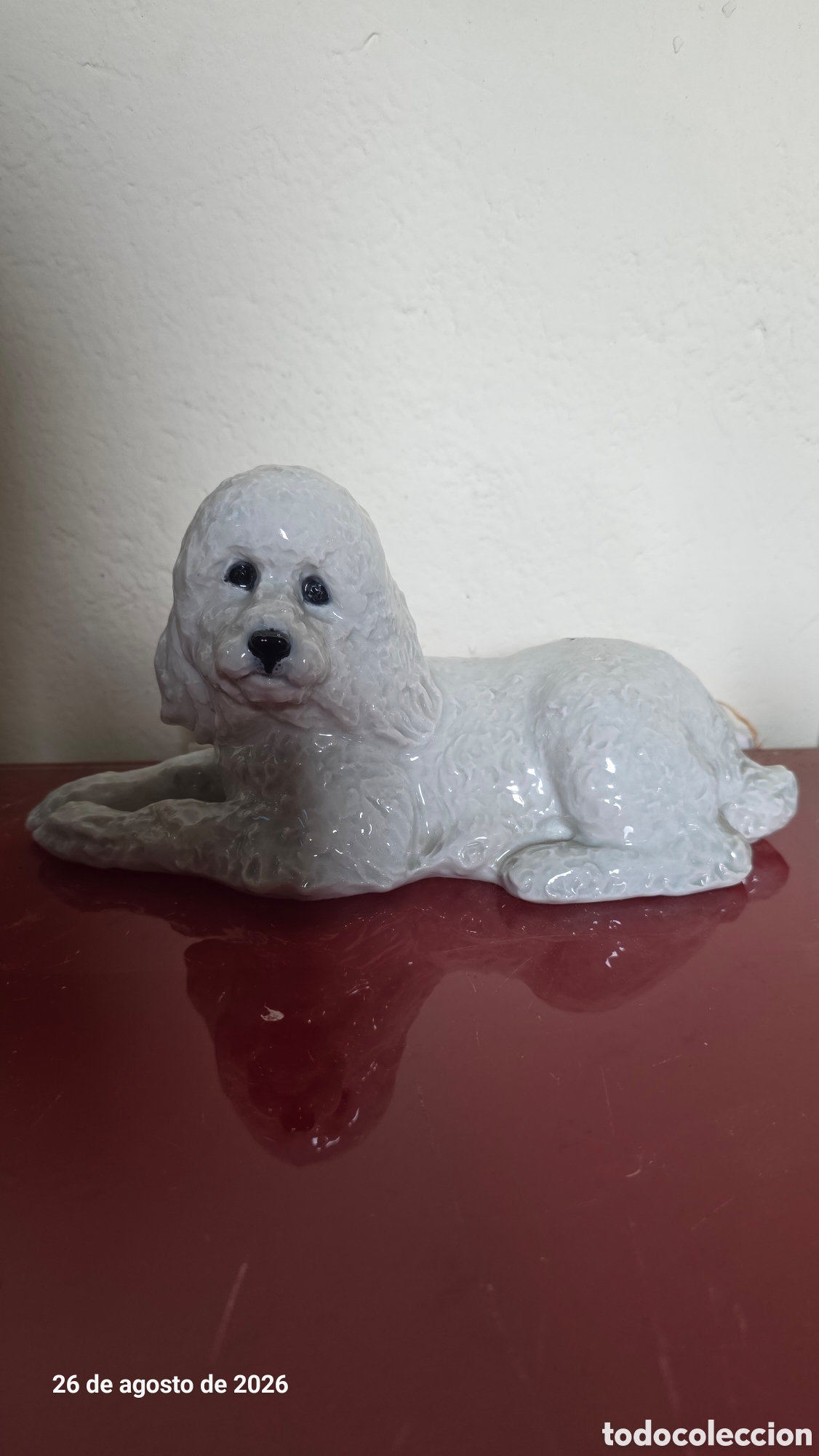 Antig&uuml;edades: Figura perro caniche porcelana alemana rosenthal