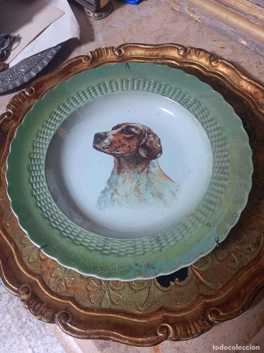 Antig&uuml;edades: plato antiguo decorativo de porcelana o loza, caracterizado por un retrato central de un perro de ca